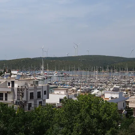 Deniz *